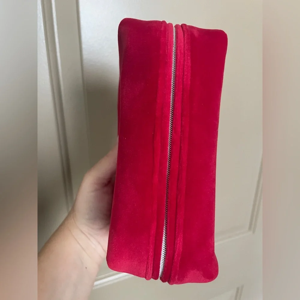 Dior velvet pouch